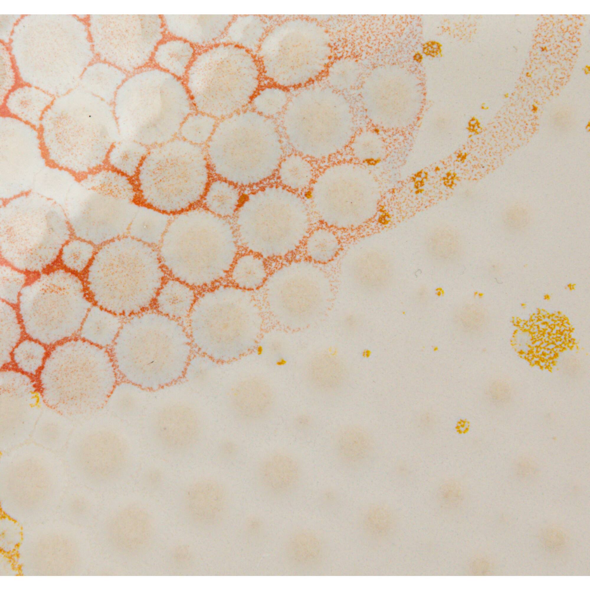 Hello Honey® 8.5" Abstract Elegance Stoneware Plate Set